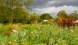 beth-chatto-garden-6.jpg