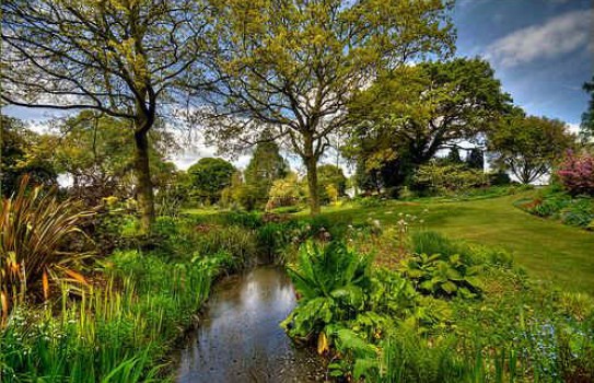 Beth Chatto Garden