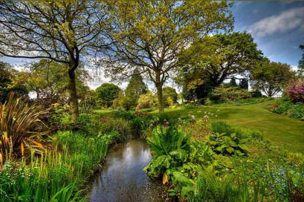 Beth Chatto Garden