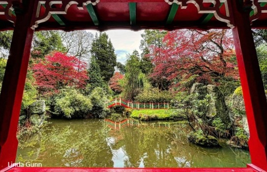 Biddulph Grange Gardens Autumn