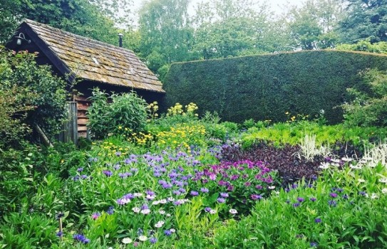 Bide-a-Wee Cottage Garden