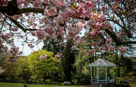 Birmingham Botanical Garden