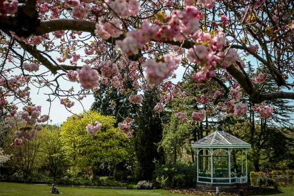 Birmingham Botanical Garden