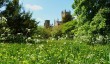 bishops_palace_garden_wells.jpg