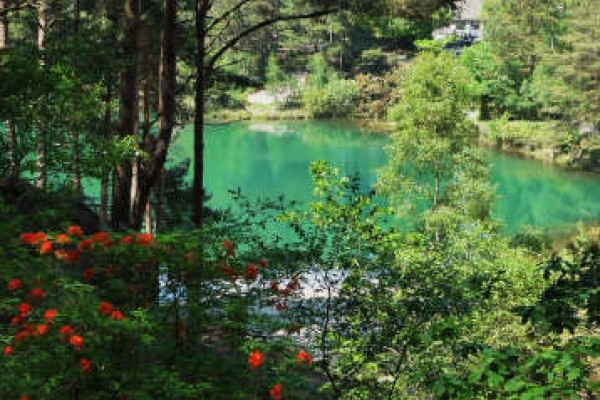 The Blue Pool in Dorset