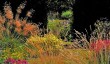 bluebell-cottage-garden.jpg
