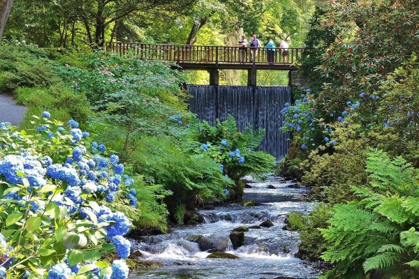 Bodnant Garden