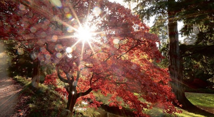 Bodnant Gardens Autumn