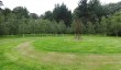bonython-birch-circle.jpg