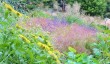 bonython-garden-cornwall.jpg