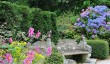 bonython-garden.jpg