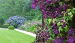 bonythongarden.jpg
