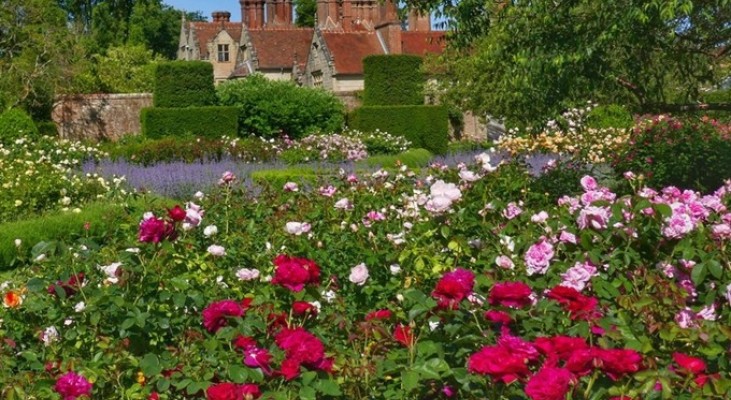 Borde Hill Rose Gardens