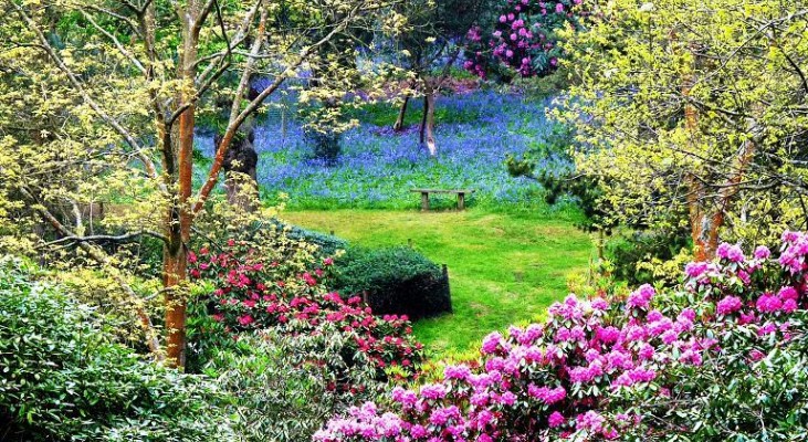 Bowood Rhododendron Garden Bowood Rhododendron Garden