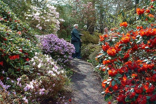 Gardens in Perthshire