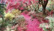 brantwood_house_and_gardens.jpg