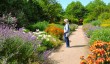 breezy-knees-garden.jpg