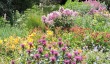 breezy-knees-gardens-yorkshire.jpg