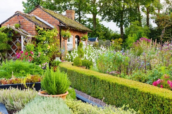 Bridgemere Show Garden