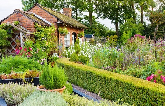 Bridgemere Show Garden