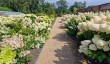 bridgewater-gardens.jpg