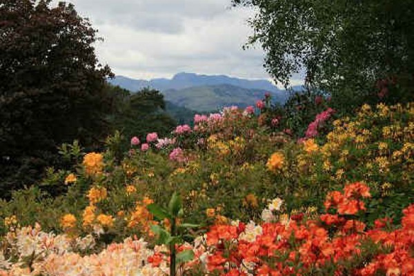 Brockhole Garden