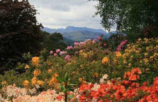 Brockhole Garden