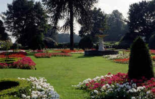Brodsworth Hall Garden 