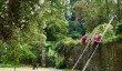 buckland_abbey_hedge_trimming.jpg