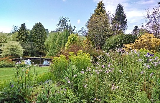 Cae Hir Garden Cae Hir Garden