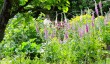 caisson-garden-in-somerset.jpg