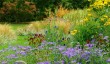 cambridge-botanic-gardens.jpg