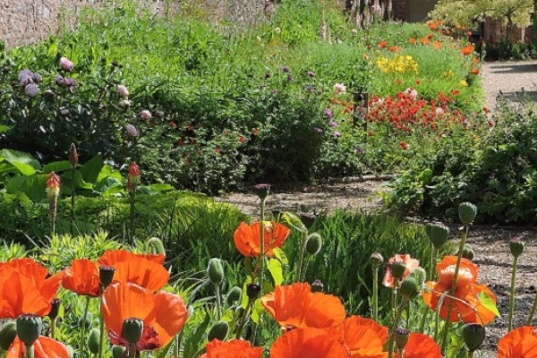 The Walled Garden at Cannington