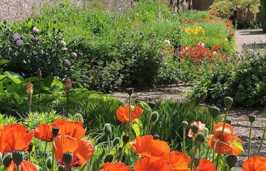 The Walled Garden at Cannington