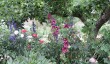 charleston-house-cottage-garden.jpg