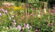 chastleton-house-garden-2024.jpg