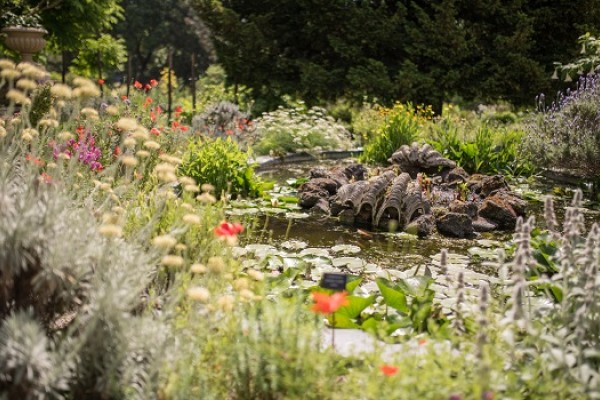 Chelsea Physic Garden 