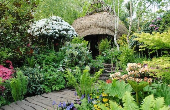 Chelsea Flower Show - looking back at Chris Beardshaw's great Furzey Garden