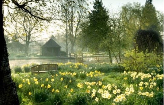 Chippenham Park Chippenham Park