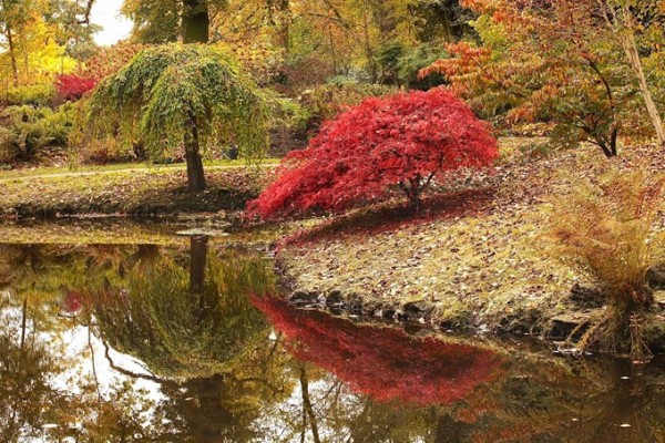 Cholmondeley Castle Gardens Autumn