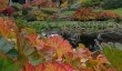 cholmondeley-autumn.jpg