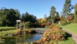 cholmondeley-castle-autumn.jpg