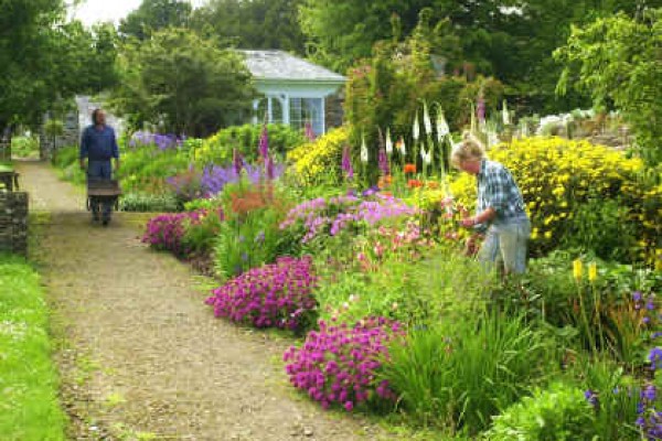 Clovelly Court Gardens