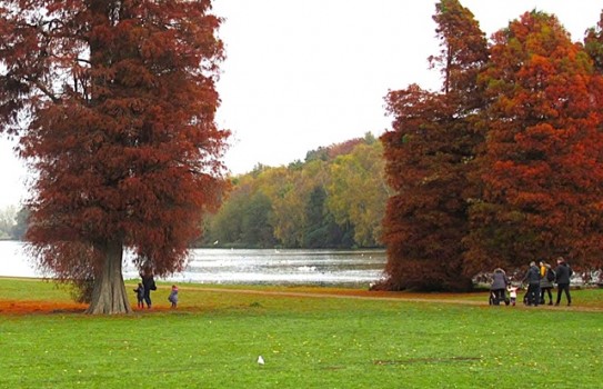 Clumber Park Gardens Autumn