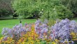 clyne-gardens-swansea.jpg