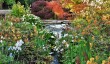 coleton-fishacre-garden.jpg