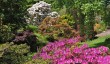 coleton-fishacre-gardens.jpg