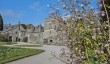 cotehele-manor-garden.jpg