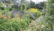 cotswolds-garden.jpg