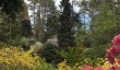 crarae-garden.jpg